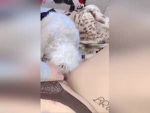 Dirty dog sex zoo meaning bestiality animal tube