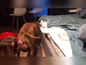 Zoo-madness for adults: Sonya gets carried away