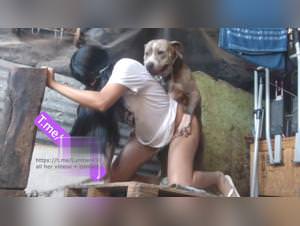 Juli amateur knot, wild dog sex