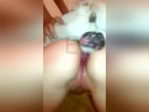 She screws her dog: extreme bestiality videos