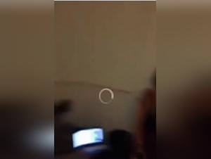 Wild dog, slut and her beast