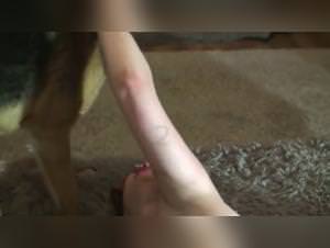 Bitch Gets Fucked by Dog - Extreme Porn Videos