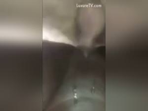 Black slut ravaged by a savage dog