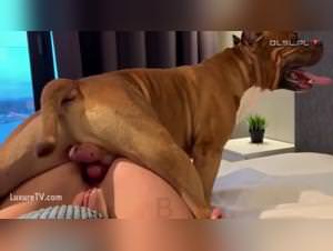 Sonya's Dirty Dog Domination: Raw Dog Fucking Frenzy