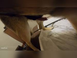 First slut action, dog sex extreme