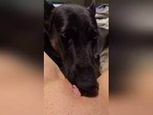 Dog sex with wife, relieving stress intensely