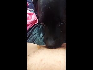 Sexy teen fucks dog in woman, wild animal fucking zoox