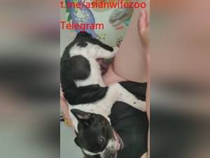 Chinese wife doggy