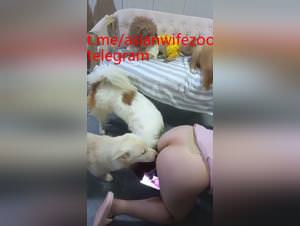 Asian dog gangbang hardcore porn