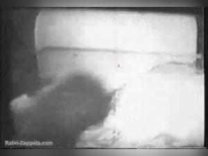 Caledonian - Bitch Fucks Dog Part 2