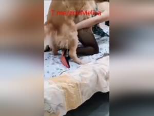 Chinese BBW Dog Fuck Hardcore