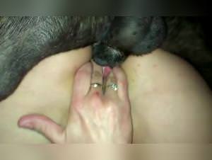 K9 Knottygirl: Animal Sex Videos XXX