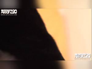 Guy fuck his dog, beastiality xxx extreme tube