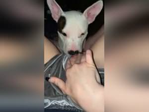 Leaked sex with dog, raw and uncensored footage