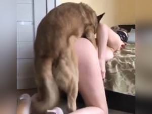 Dog Knot Hardcore Teen Sex