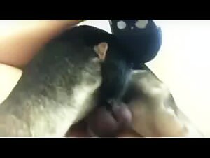 Teen sitter devoured by dog cum, taboo desire