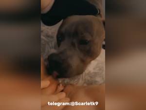 Teen surrenders to morning dog bliss