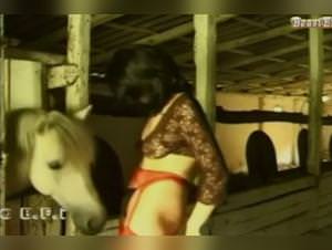 Wife spread fucks dog hard