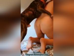 Dog Sex: Hardcore XXX Videos