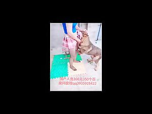 Beastly zoo sex: unexpected encounters with dogs