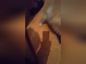 Woman Slaked by Her Dog - Extreme XXX Videos