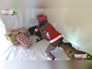 The best animal porn movies