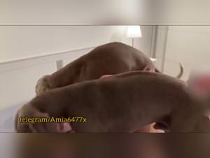 Dogging Home Made Knotting: Hardcore Fuck