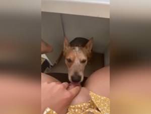 Milf Gets Dogged at Home Office