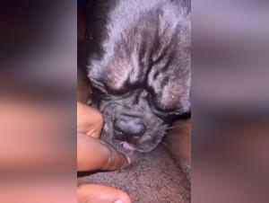 Thicc bitch, dog pounding, extreme sex