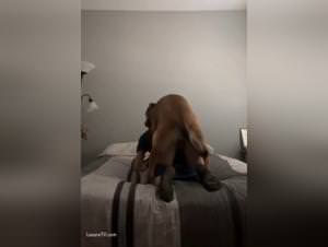 Teen alone dog fucked at home