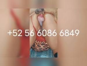 Mature zoophilia: doggy milking delights