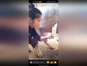 Pig Bangs Chinese Girl