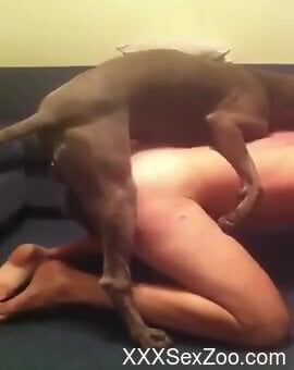 Ruff love with a dirty zoophile that wants orgasms