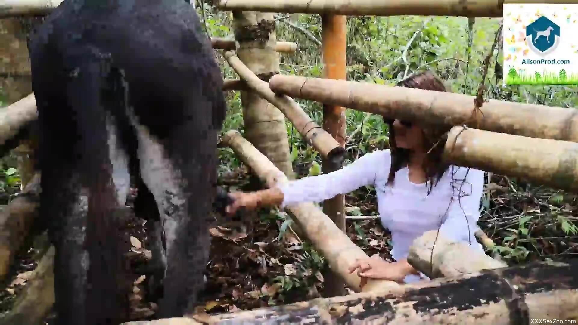 Sensual female with sexy ass throats the horse's cock like a whore