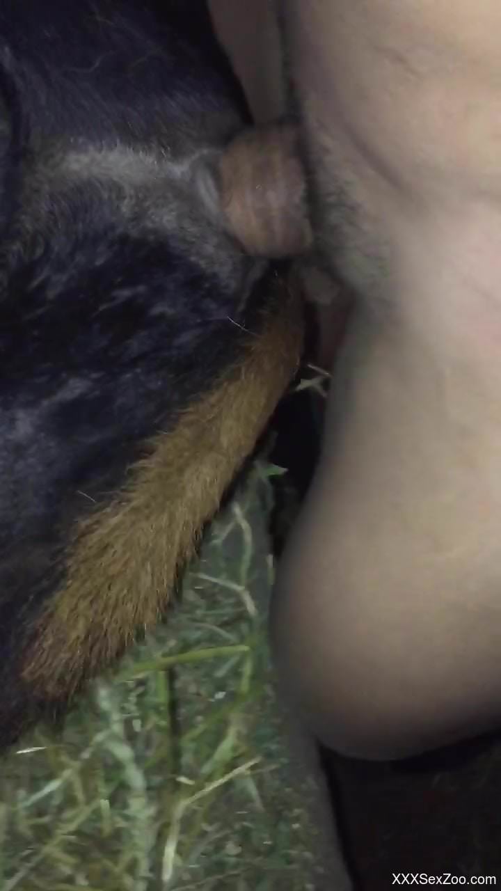 Dude dominating a dog's oozing cunt in a close-up vid
