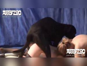 Two sluts get fucked by a dog in hardcore sex