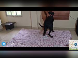 Mia - Doggy Frenzy Part 1