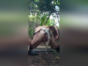 Gay dog sex hardcore beast
