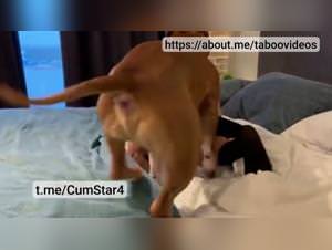 Milly Wild Dog Fuck - Part 1