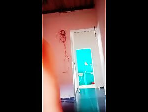 French zoophilia: videos with cats and dogs