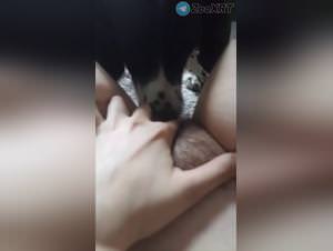 Dogfucking frenzy, owner's pussy devoured