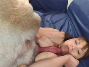 Reverse Dog Blowjob - Girl Pleasuring Her Dog
