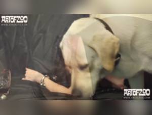 Zoo porno beastlity: Yasmin and dog fucking