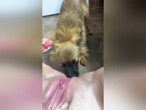 Tier sex beasts & extreme zoophilie - Bestiality Tube