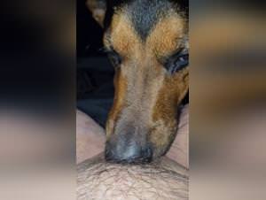 Forbidden pleasures : dog sex afternoon