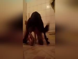 Fucking Dog Videos : Zoofilia Extreme