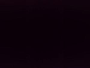 Dirty Bitch Dog Sex - Extreme XXX