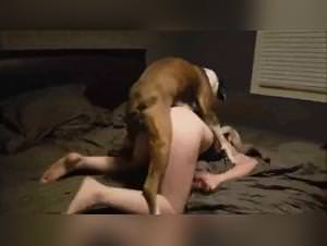 Famous blonde fucks dog wildly