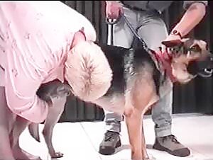 Blondie GS and his beastly experience