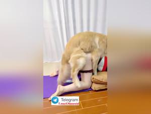 Chinese Wife Dog Sex Compilation Vol. 1